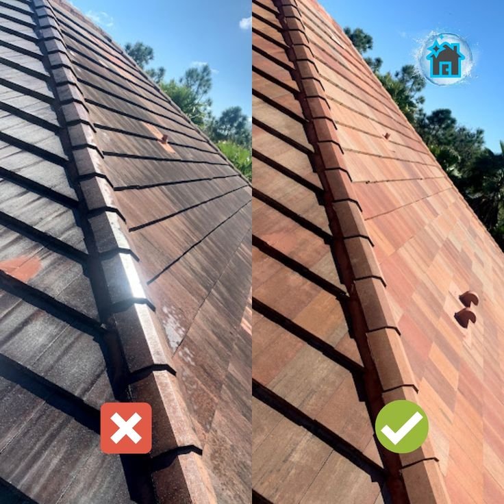 Roof cleaning